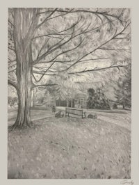 a pencil drawing of a tree and a bench